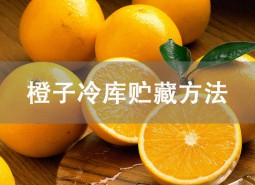 橙子冷庫可以貯藏多久？氣調(diào)庫保鮮5個月！
